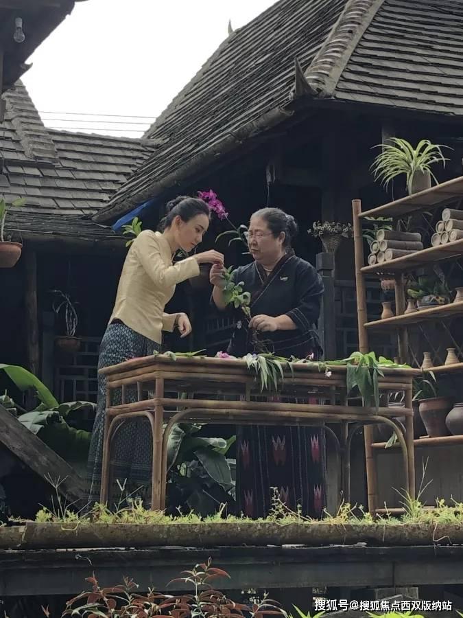 灾难来临时7
