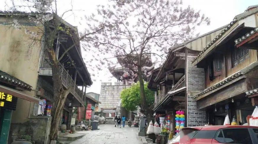 方舟生存进化